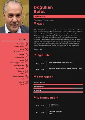 Gemi Kaptanı CV Örnekleri cv indir